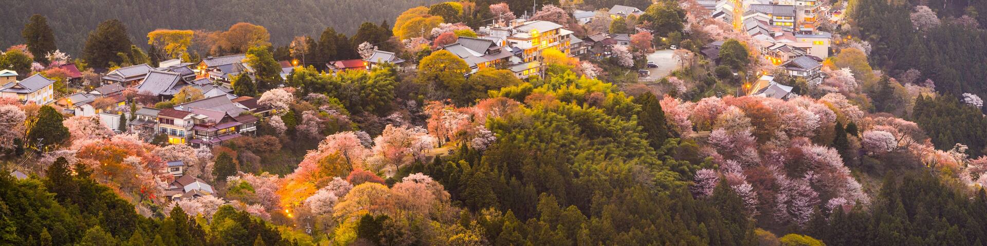 Yoshinoyama, Nara, Japan Hilltop village in Spring