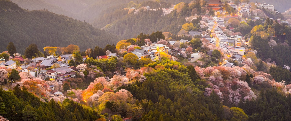 A mountainous landscape with a village nestled among trees, featuring traditional architecture and a prominent temple.