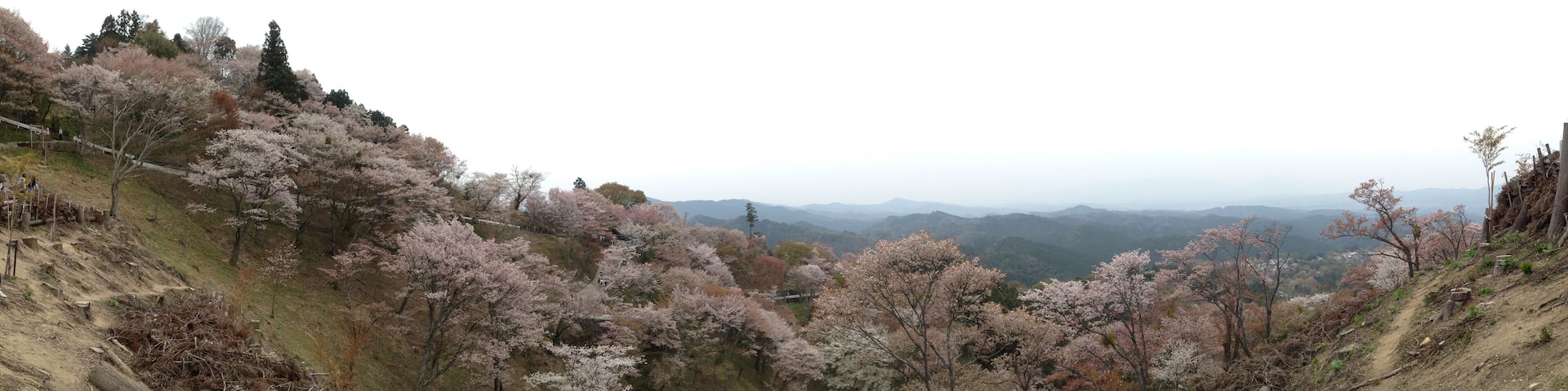 0_8853b70c-e56f-4c2e-8278-4784b16bbc5d_raw