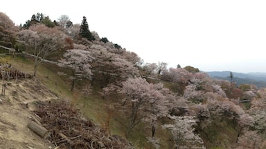 0_8853b70c-e56f-4c2e-8278-4784b16bbc5d_raw