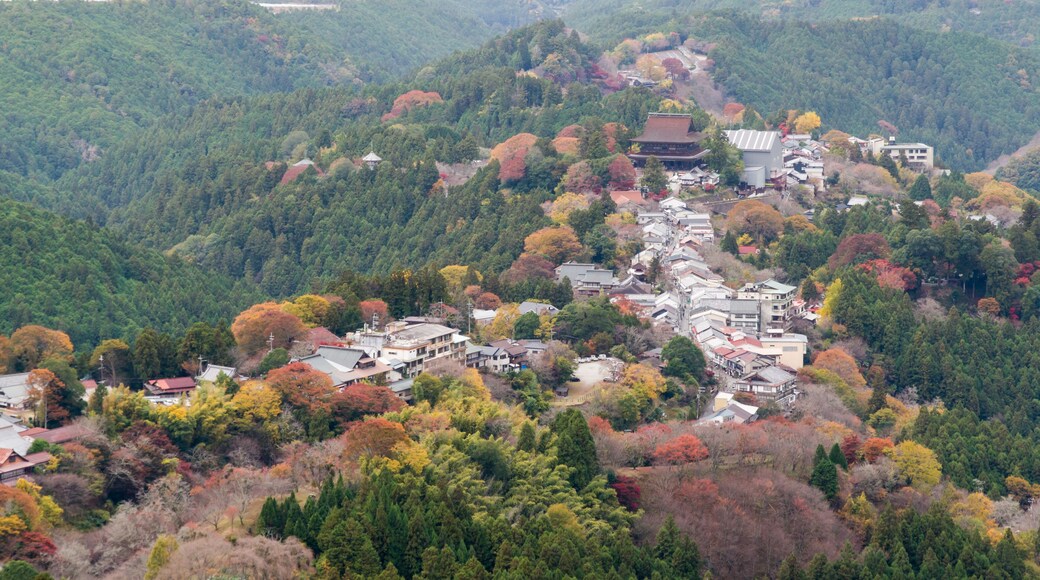 花矢倉展望台からみる秋の吉野山