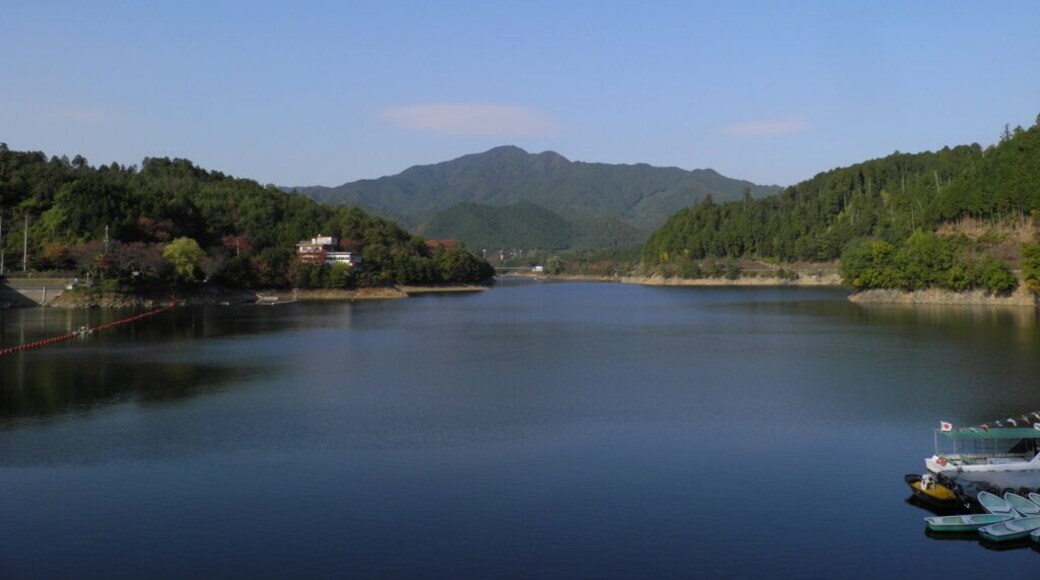 æŽ„éąšćăă ïŒć„èŻçćééĄćéçșïŒ