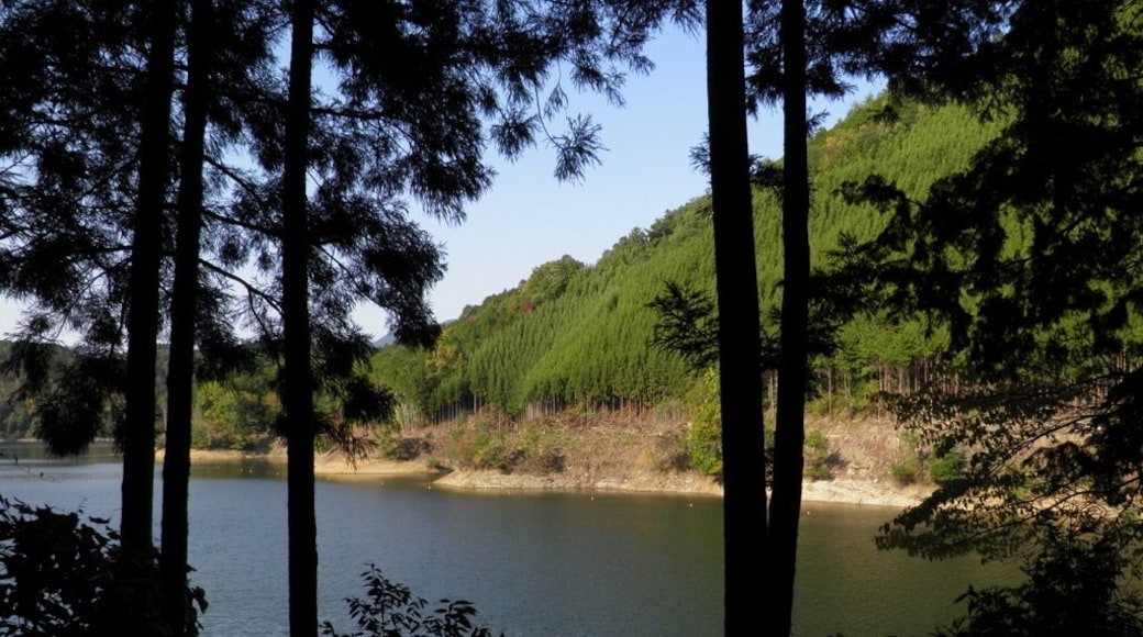 æŽ„éąšćăă ïŒć„èŻçćééĄćéçșïŒæ„æ„æŽ„éąšćç„瀟èżăăă