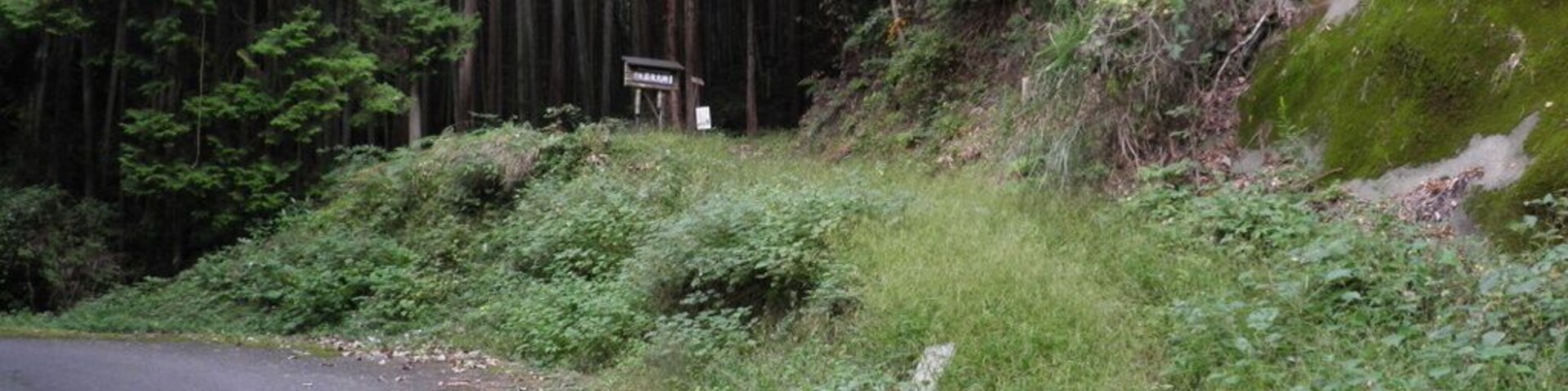 芋ヶ峠(奈良県吉野郡吉野町)