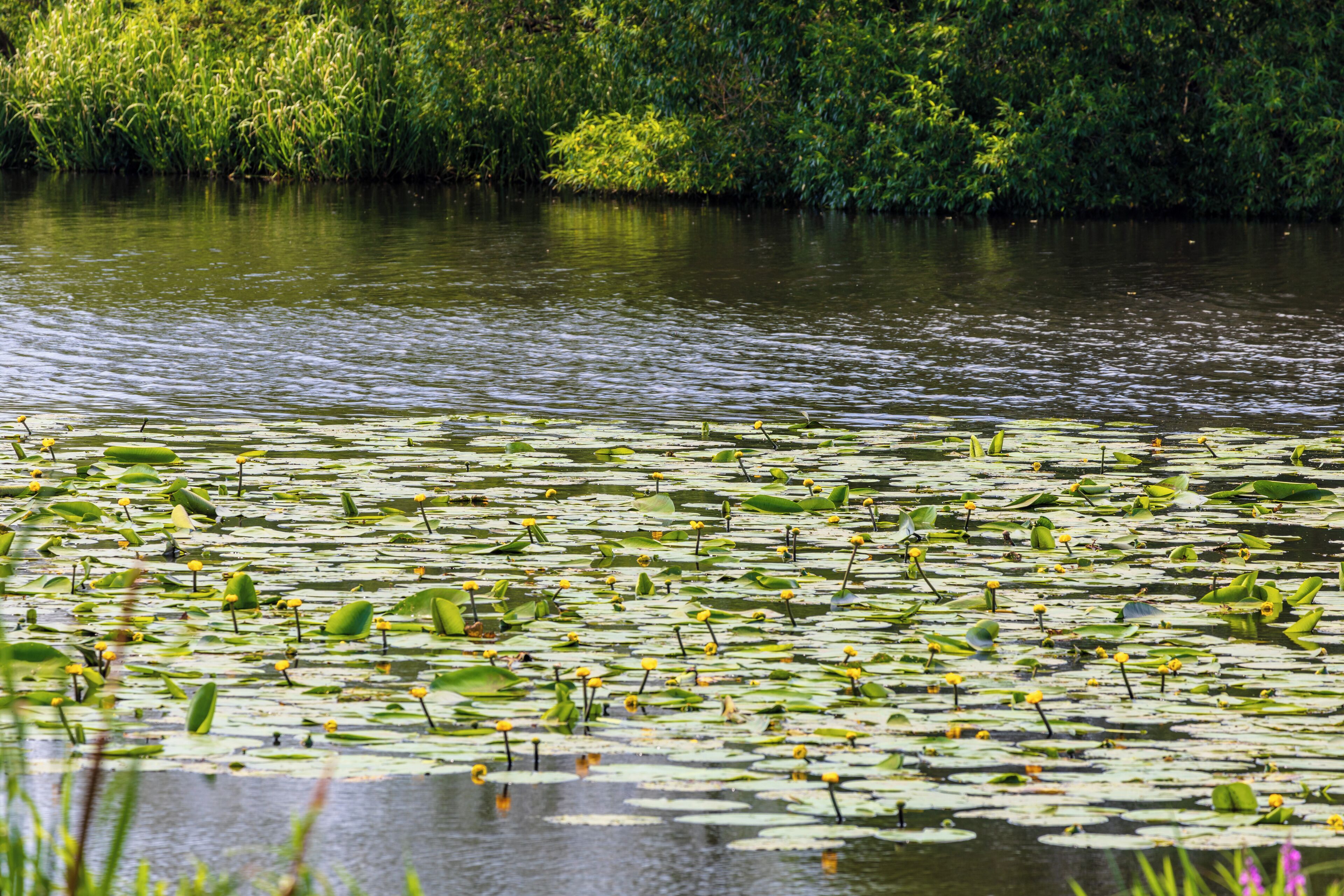 This is a picture of the protected area listed at WDPA under the ID