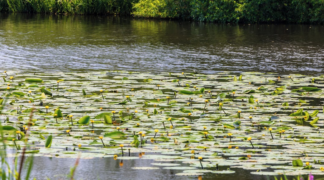 This is a picture of the protected area listed at WDPA under the ID