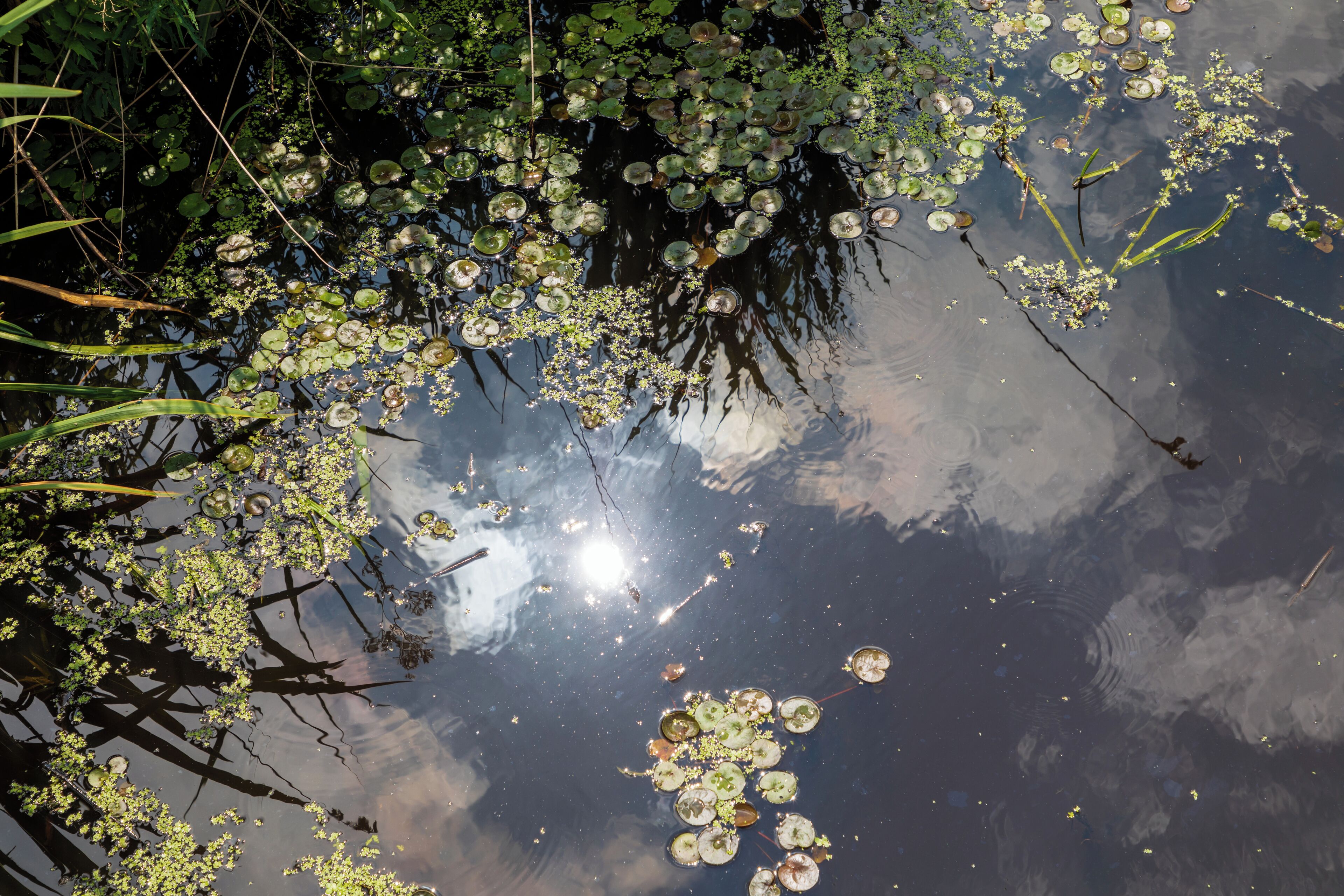 This is a picture of the protected area listed at WDPA under the ID