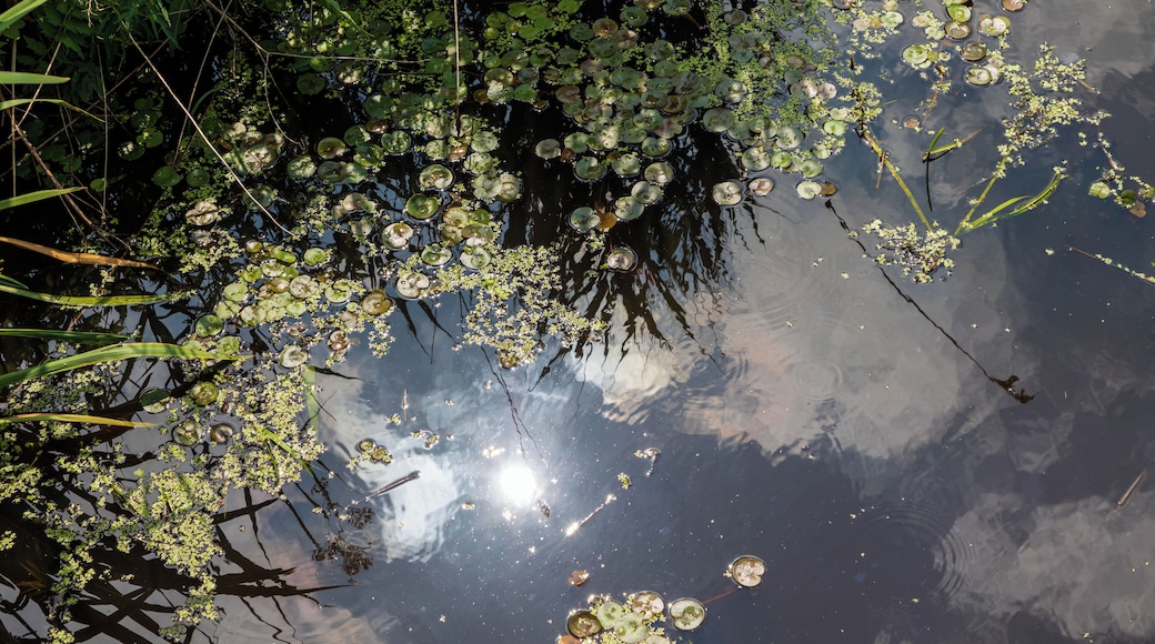 This is a picture of the protected area listed at WDPA under the ID