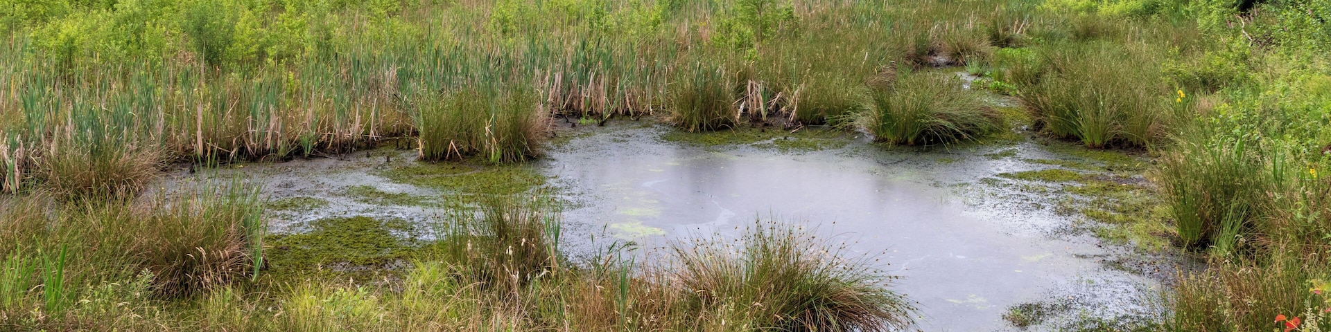 This is a picture of the protected area listed at WDPA under the ID