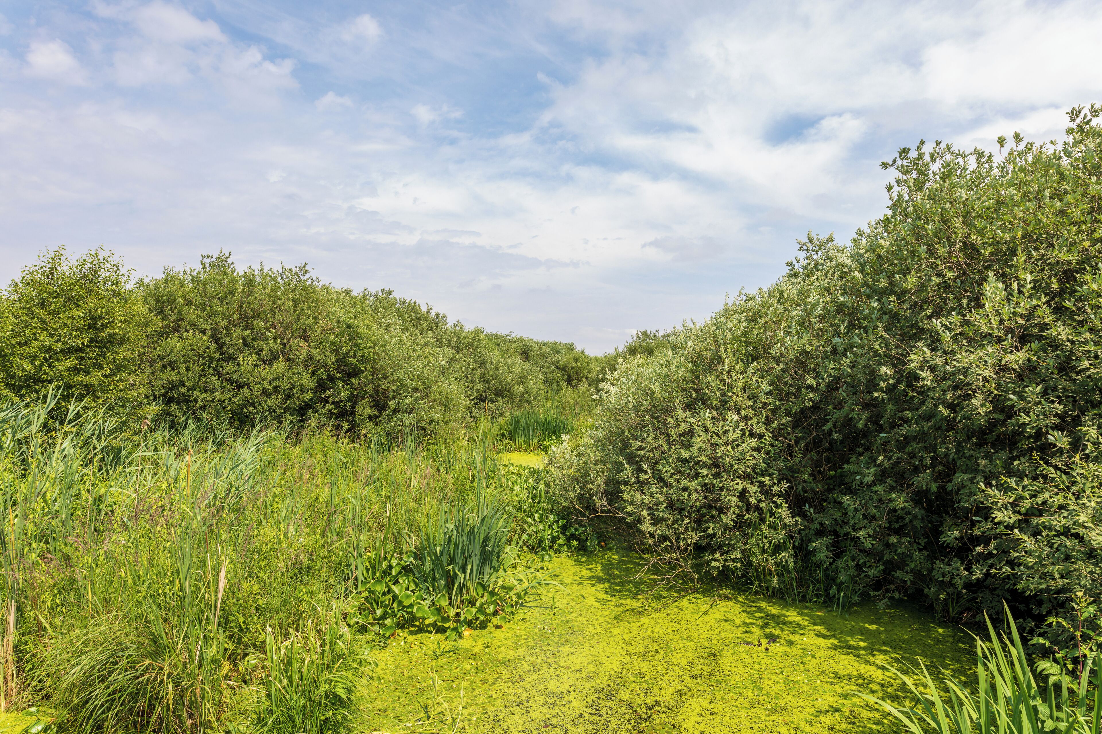 This is a picture of the protected area listed at WDPA under the ID