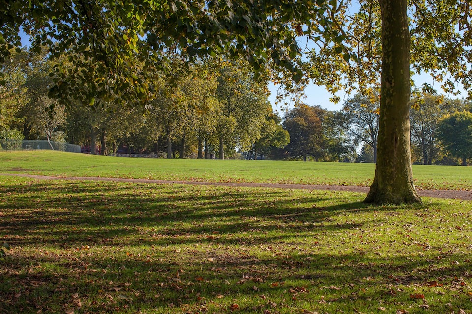 En park med et stort træ, grønne områder og et hegn i baggrunden.