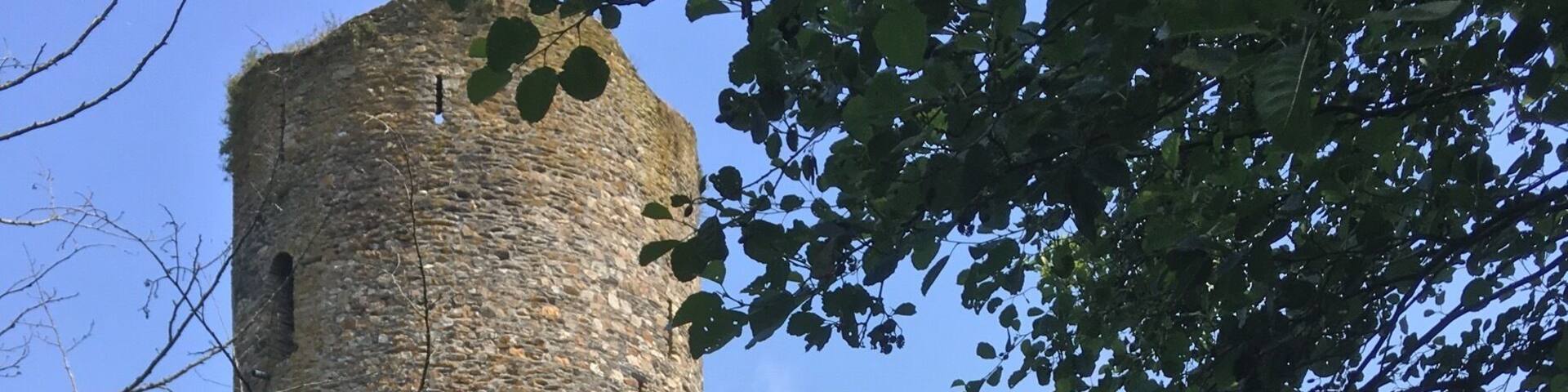 Clearly ruins invite their current day visitors to reflect, on past and present.
Btw, nice walk about: https://www.saar-hunsrueck-steig.de/traumschleifen/landzeittour