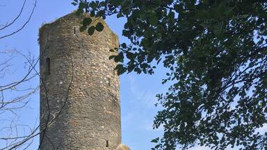 Clearly ruins invite their current day visitors to reflect, on past and present.
Btw, nice walk about: https://www.saar-hunsrueck-steig.de/traumschleifen/landzeittour
