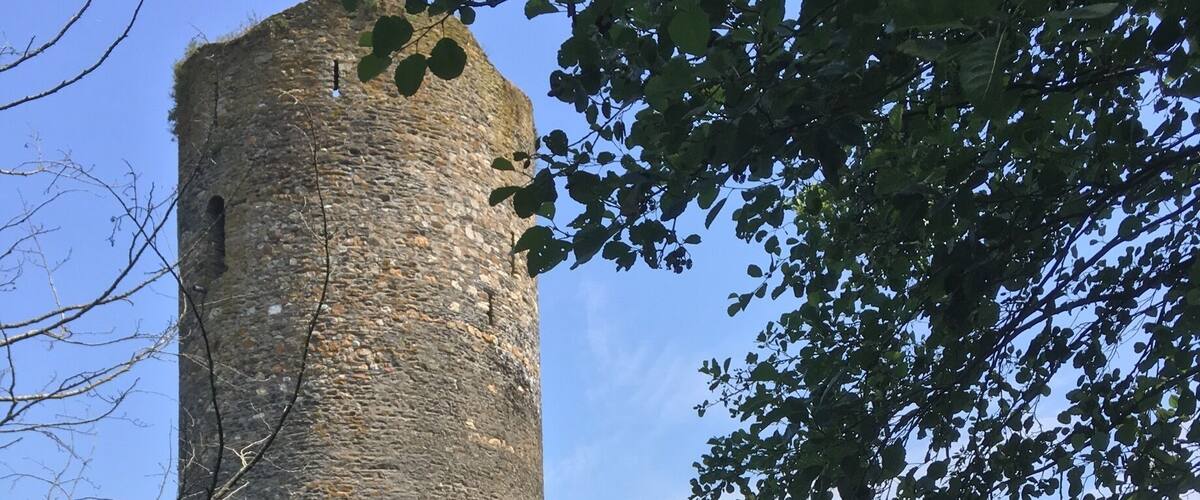 A stone castle with a tall tower, surrounded by water and greenery.