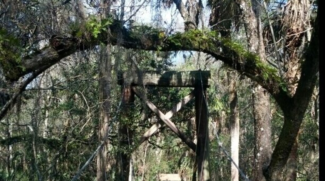 A suspension bridge built by the CCC crossing the Hillsborough River.