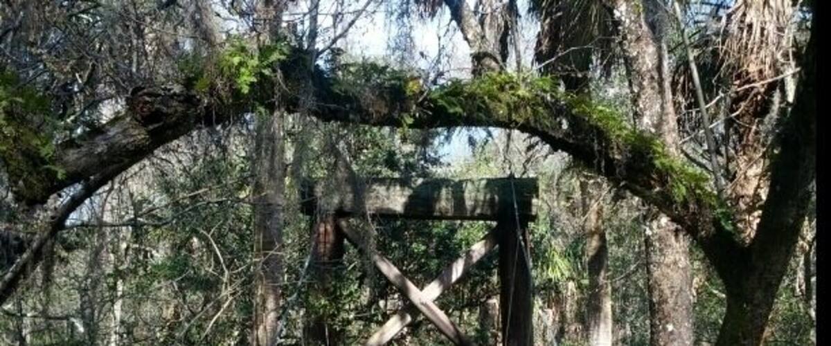 A suspension bridge built by the CCC crossing the Hillsborough River.