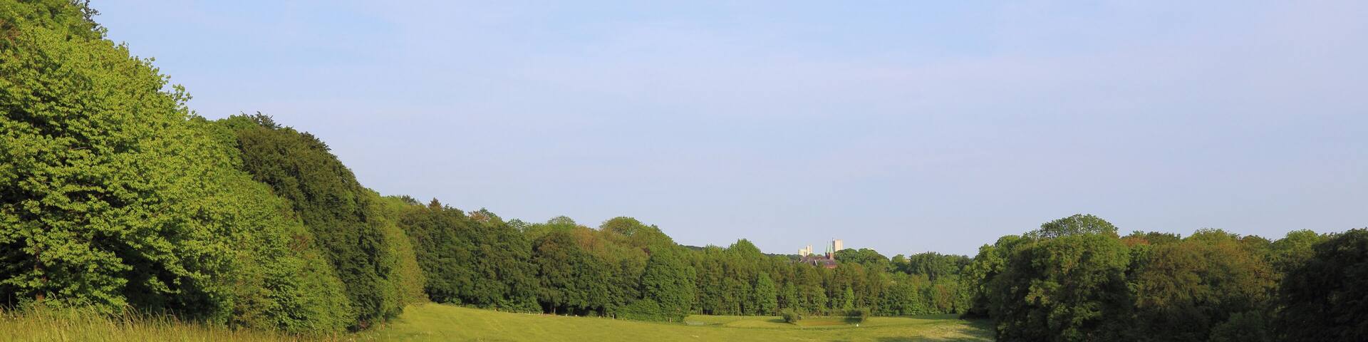 This is a picture of the protected area listed at WDPA under the ID