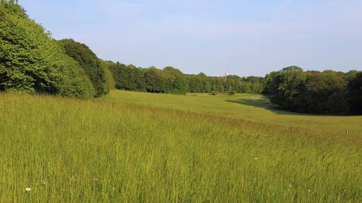 This is a picture of the protected area listed at WDPA under the ID