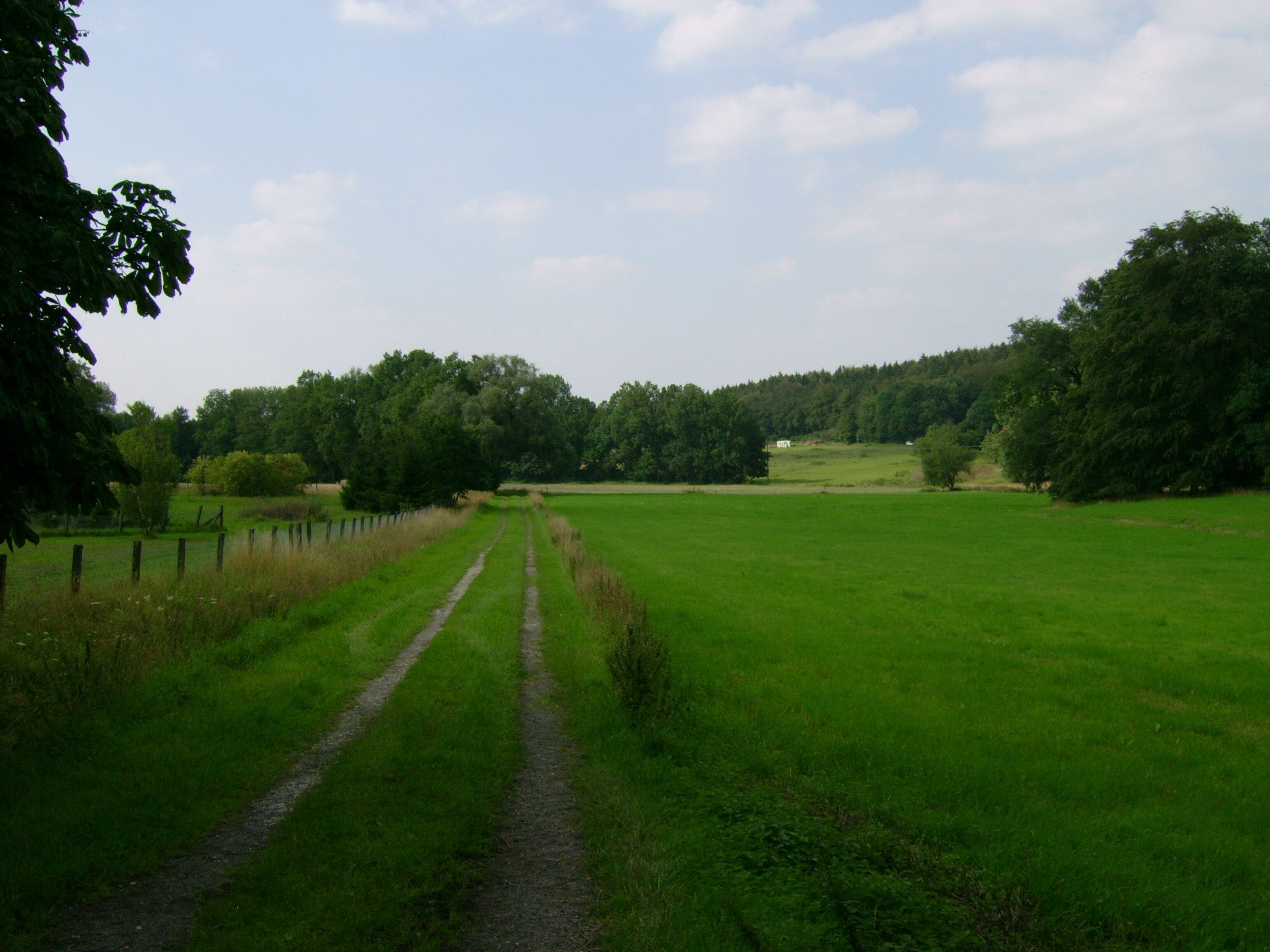 Ein Feldweg führt zum Hönebach