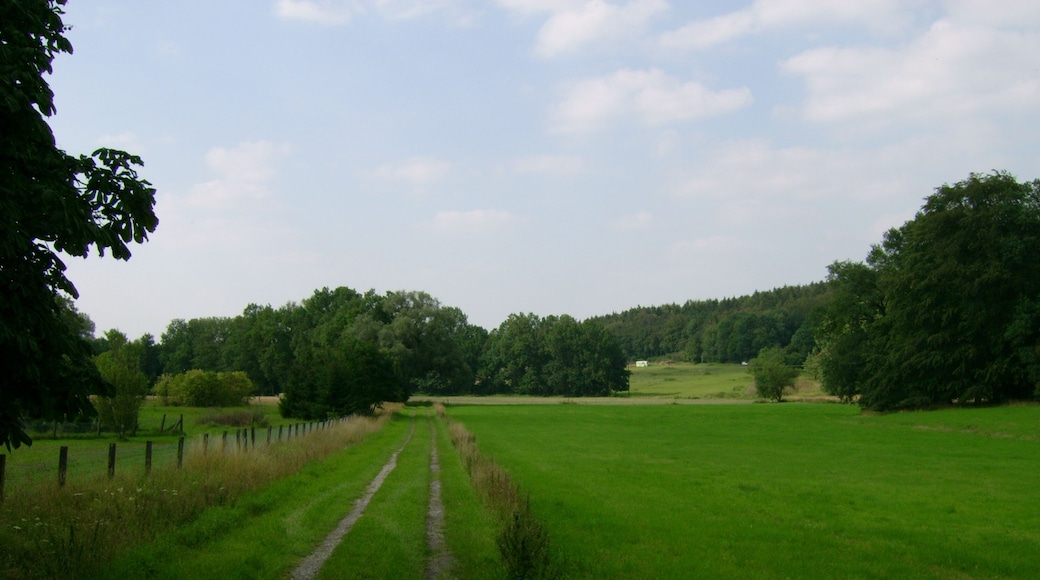 Ein Feldweg führt zum Hönebach