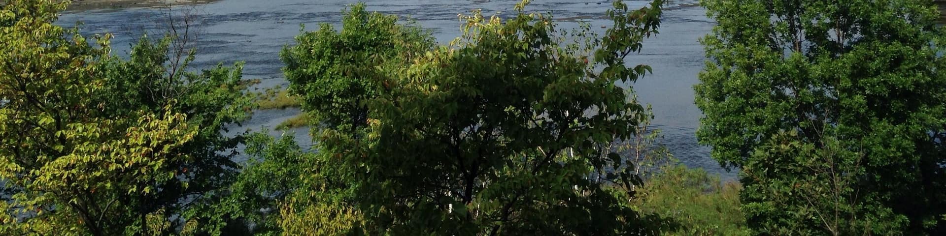 Visited with friends and hiked around Peebles Island State Park with our dog Bodie. This trip is part of Bodie's Bucket List Trip.