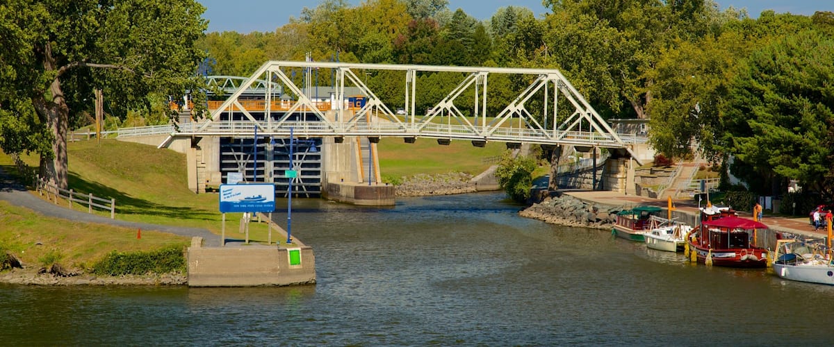 Waterford ofreciendo un río o arroyo y un puente
