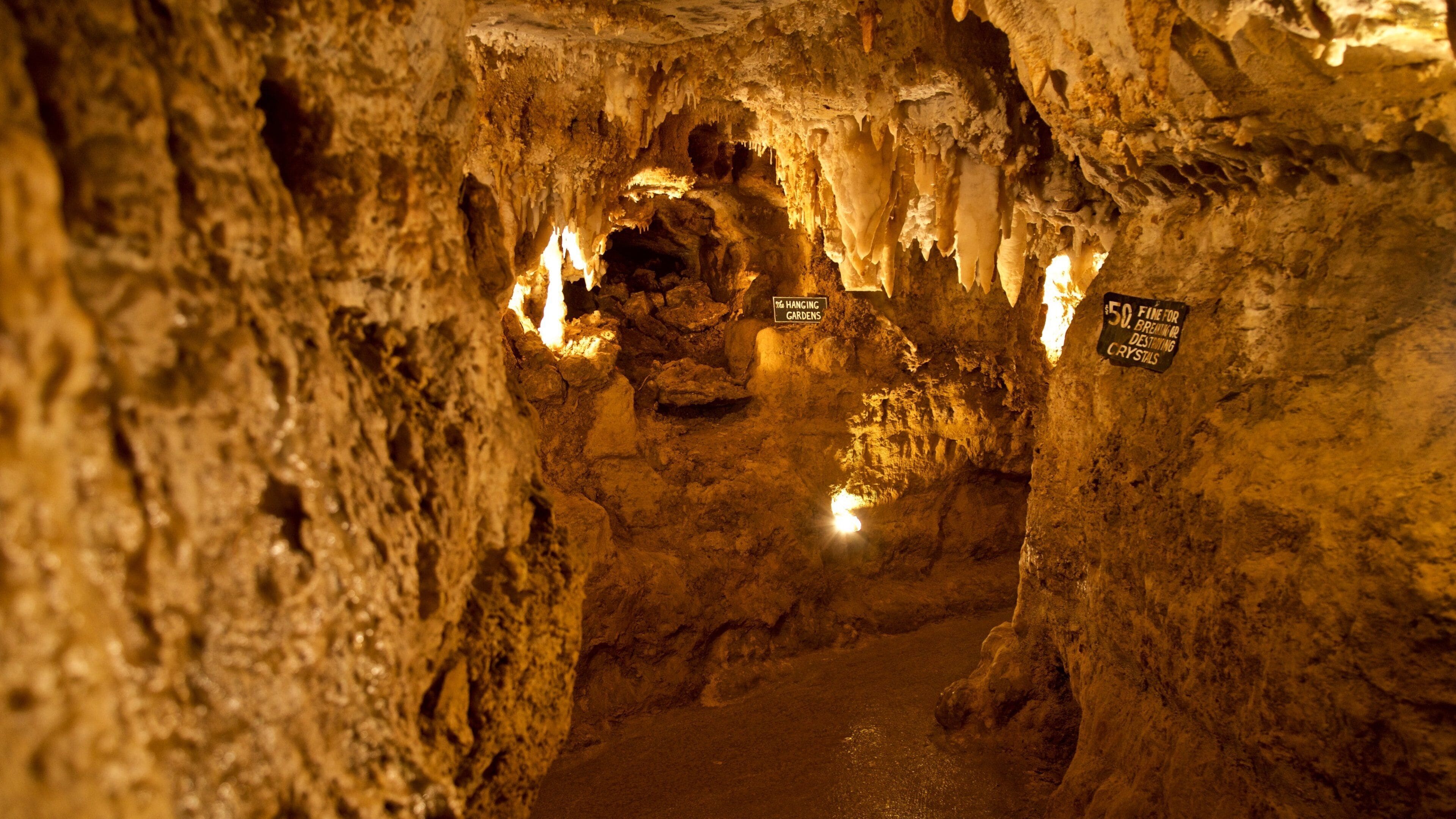 Une grotte ornée de stalactites et de stalagmites, éclairée par un système d’éclairage artificiel.
