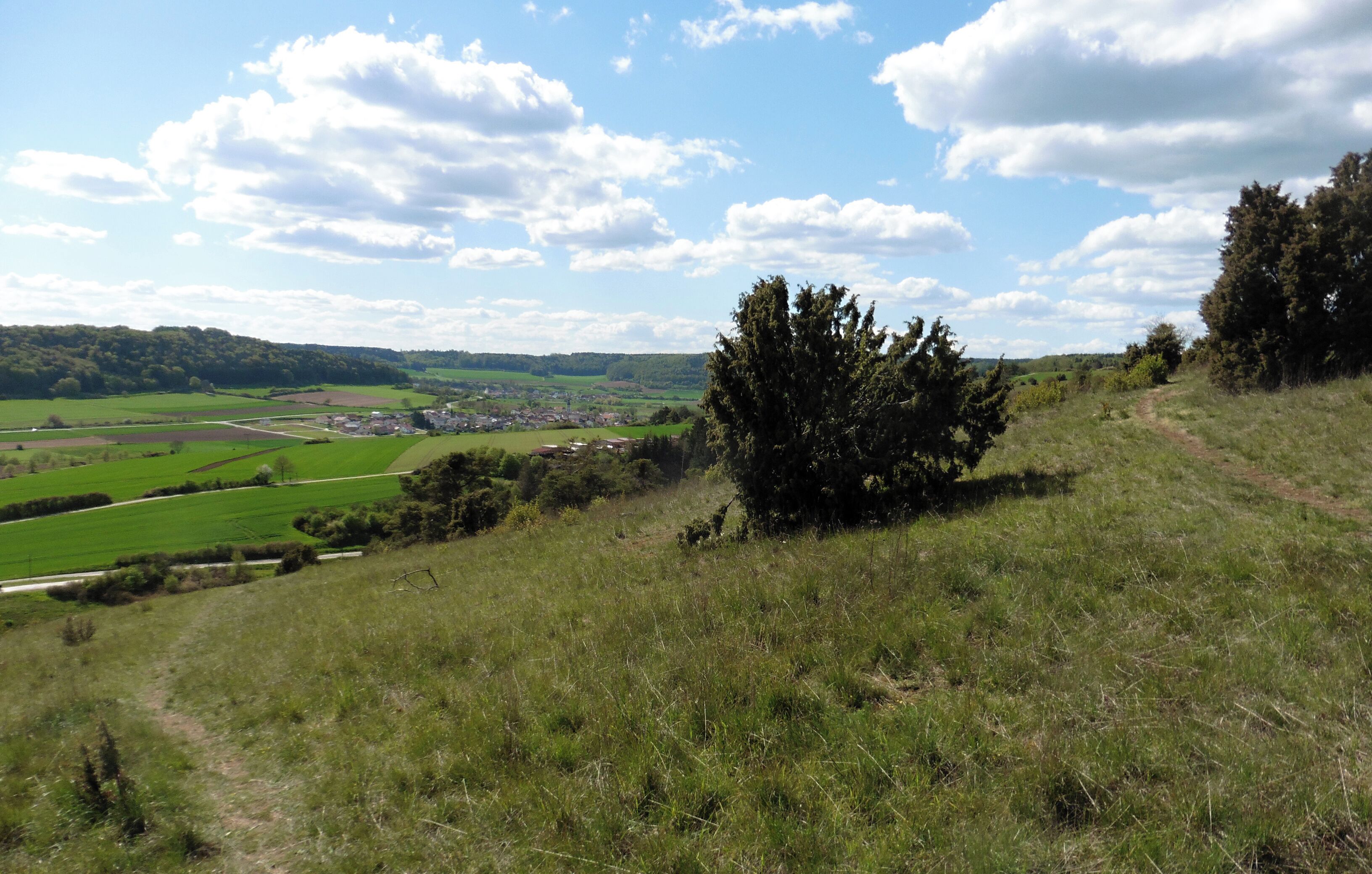 This is a picture of the protected area listed at WDPA under the ID