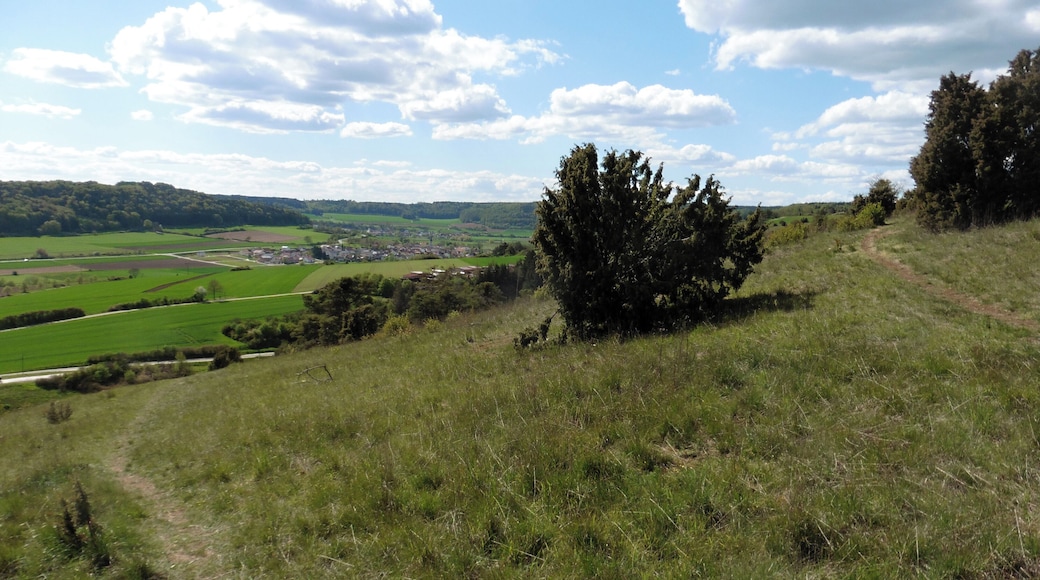 This is a picture of the protected area listed at WDPA under the ID