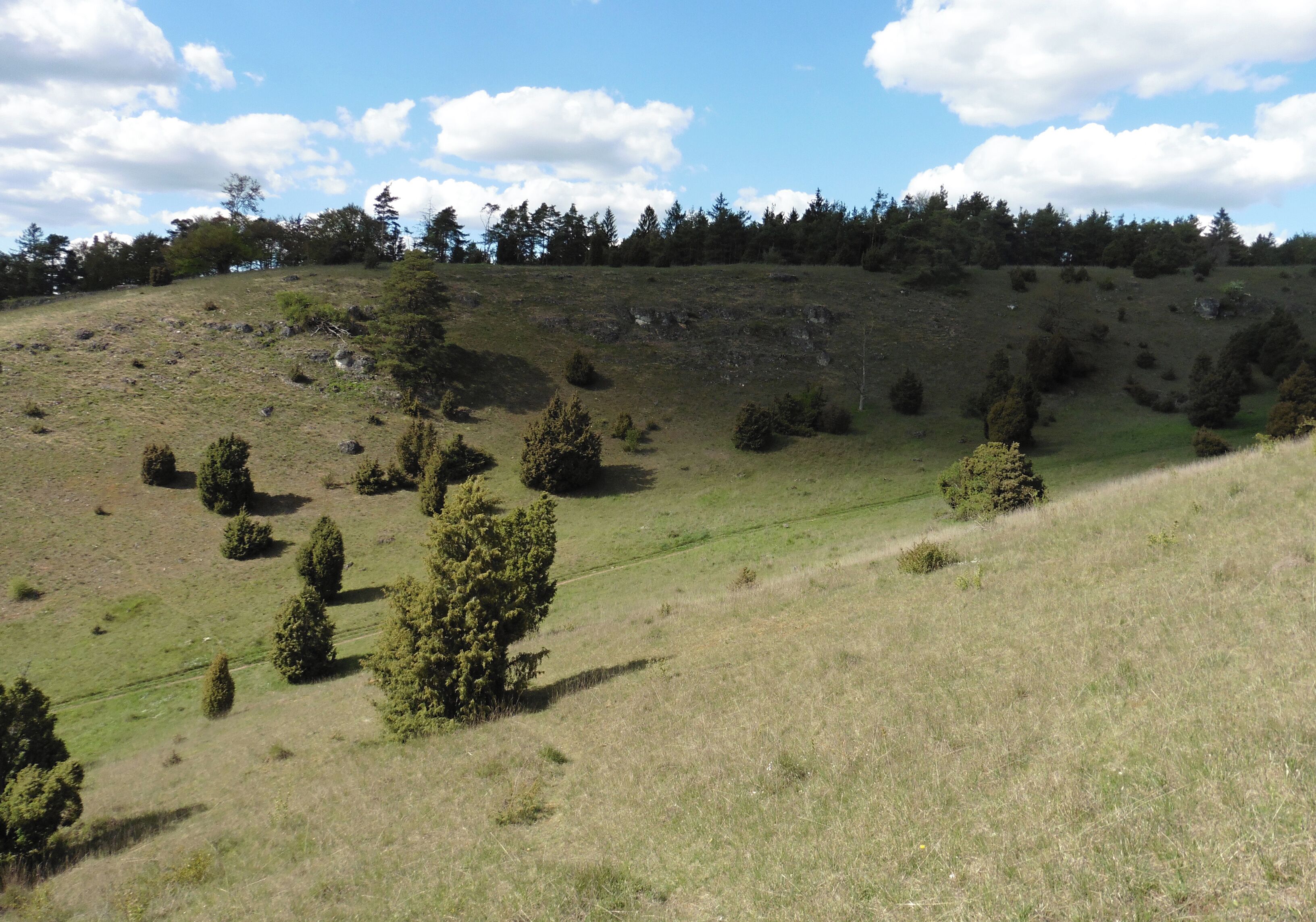 This is a picture of the protected area listed at WDPA under the ID