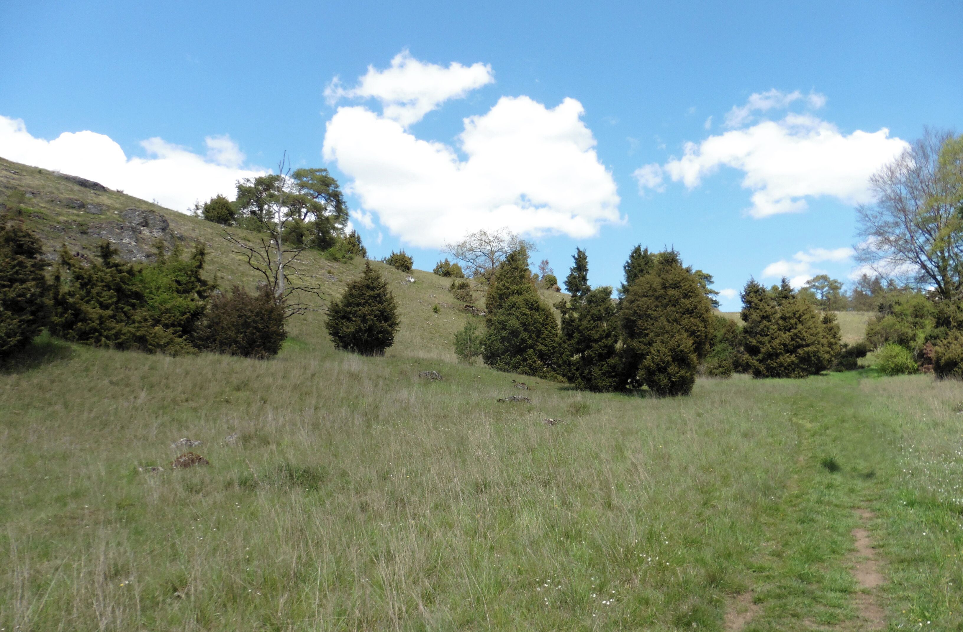 This is a picture of the protected area listed at WDPA under the ID