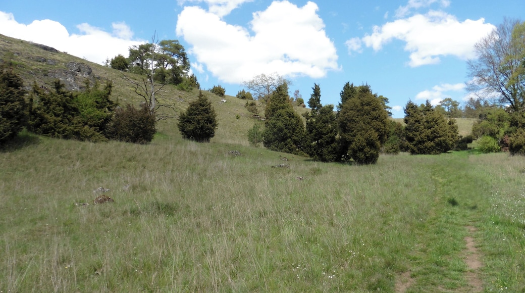 This is a picture of the protected area listed at WDPA under the ID