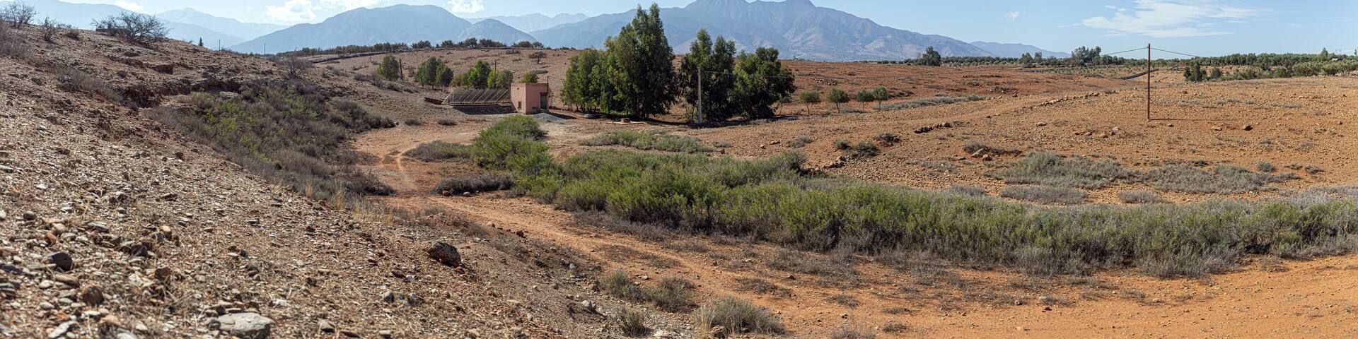 A desert landscape with sparse vegetation, a dirt road, and distant mountains under a clear sky.