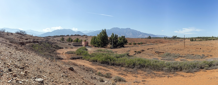Paisaje desértico con vegetación escasa, un camino de tierra y montañas distantes bajo un cielo despejado.