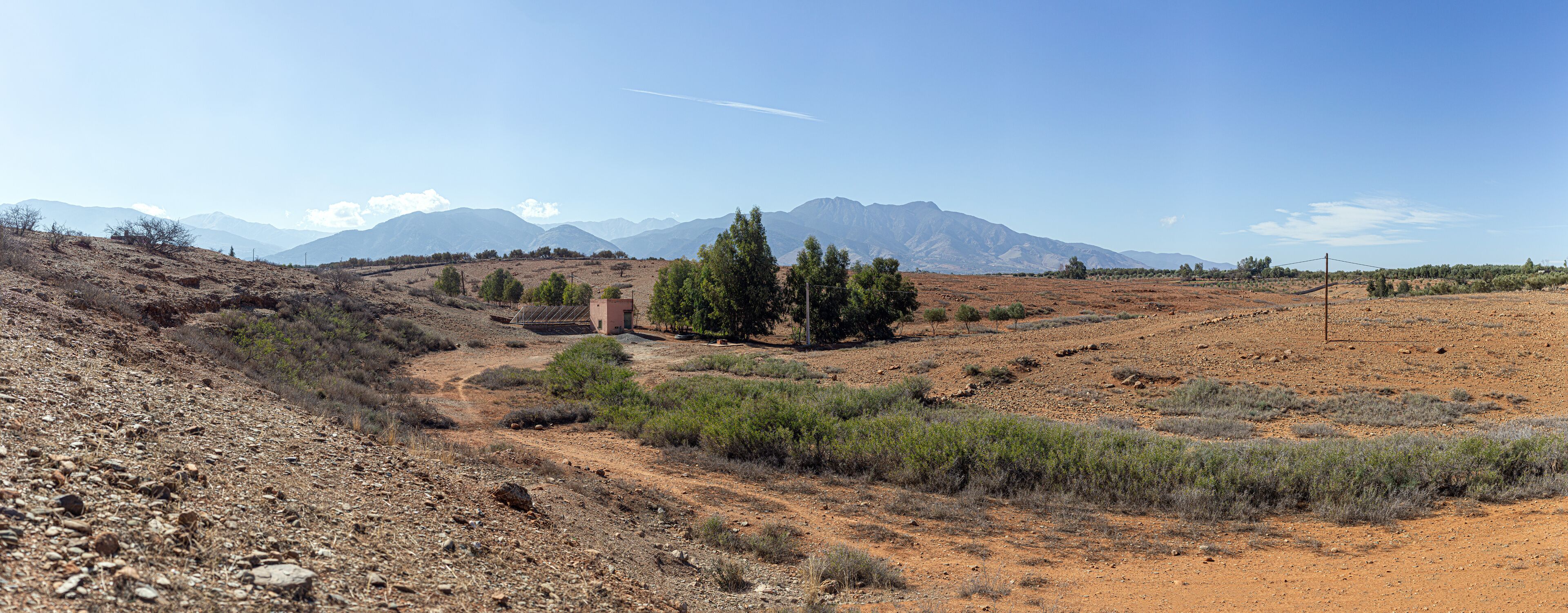 A desert landscape with sparse vegetation, a dirt road, and distant mountains under a clear sky.