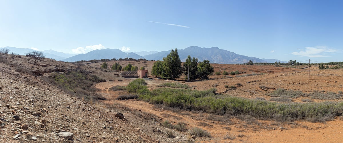 A desert landscape with sparse vegetation, a dirt road, and distant mountains under a clear sky.