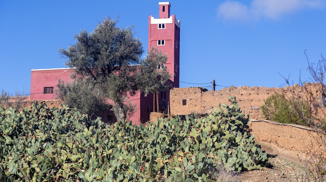 อะมิซมิซ