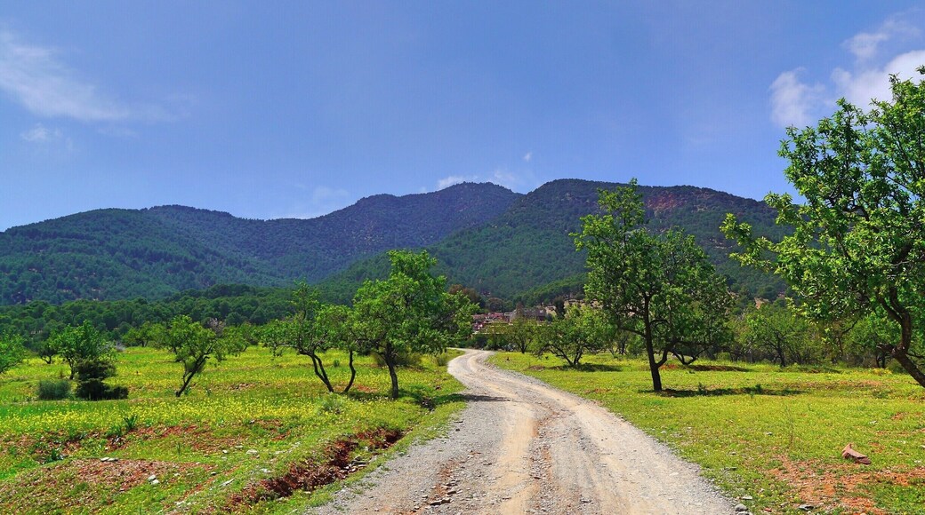 Hiking in the lower altitudes of the Atlas Mountains is gorgeous. Zipping through almost ten Berber villages in a few hours, you truly are able to see how the local people live in each of their villages. Chickens are running around, kids playing football, and the women are socialising amongst themselves. It's always comforting to know that there are still parts of the world that do not require much technology to maintain healthy social relationships between people.