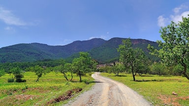 Hiking in the lower altitudes of the Atlas Mountains is gorgeous. Zipping through almost ten Berber villages in a few hours, you truly are able to see how the local people live in each of their villages. Chickens are running around, kids playing football, and the women are socialising amongst themselves. It's always comforting to know that there are still parts of the world that do not require much technology to maintain healthy social relationships between people.