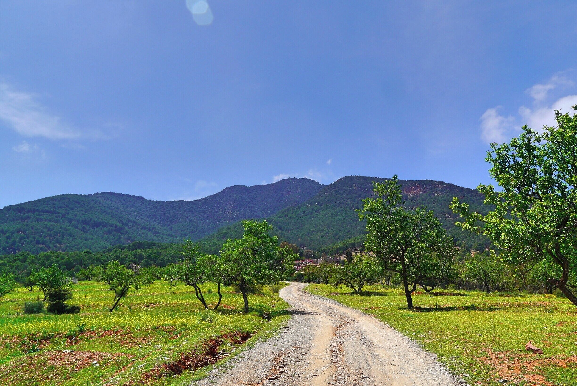 A rural road winding through a green landscape with trees and mountains in the background.