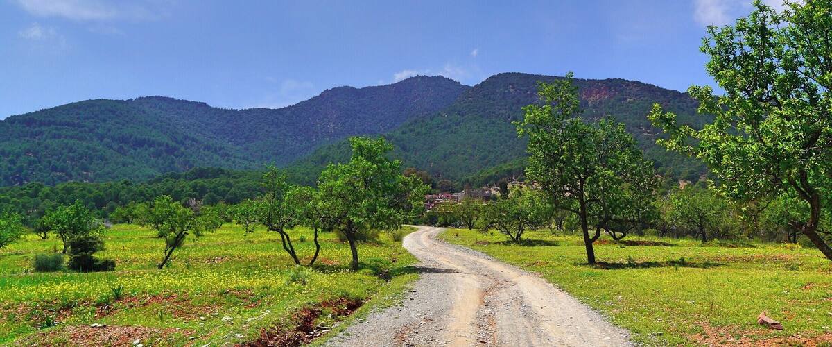A rural road winding through a green landscape with trees and mountains in the background.