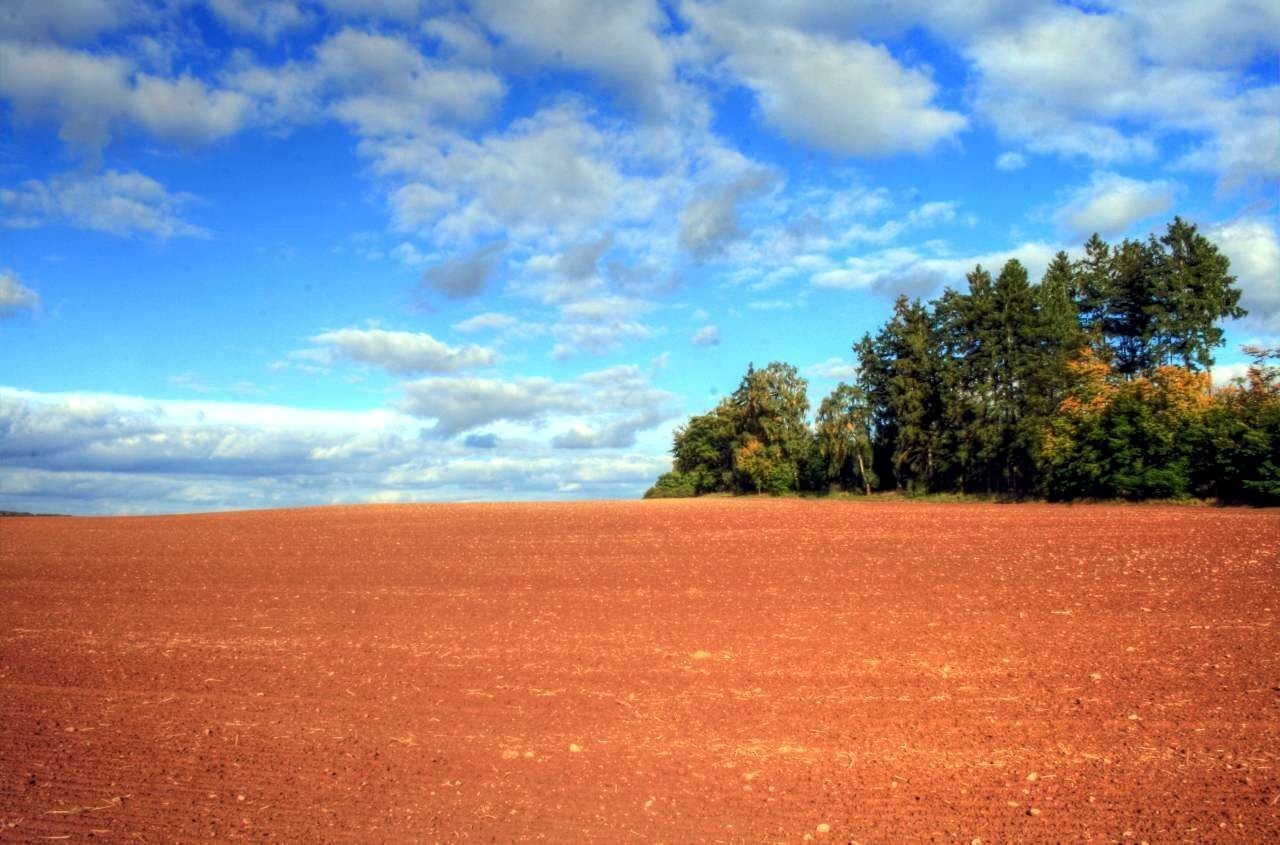 Brown meets Blue near Immighausen