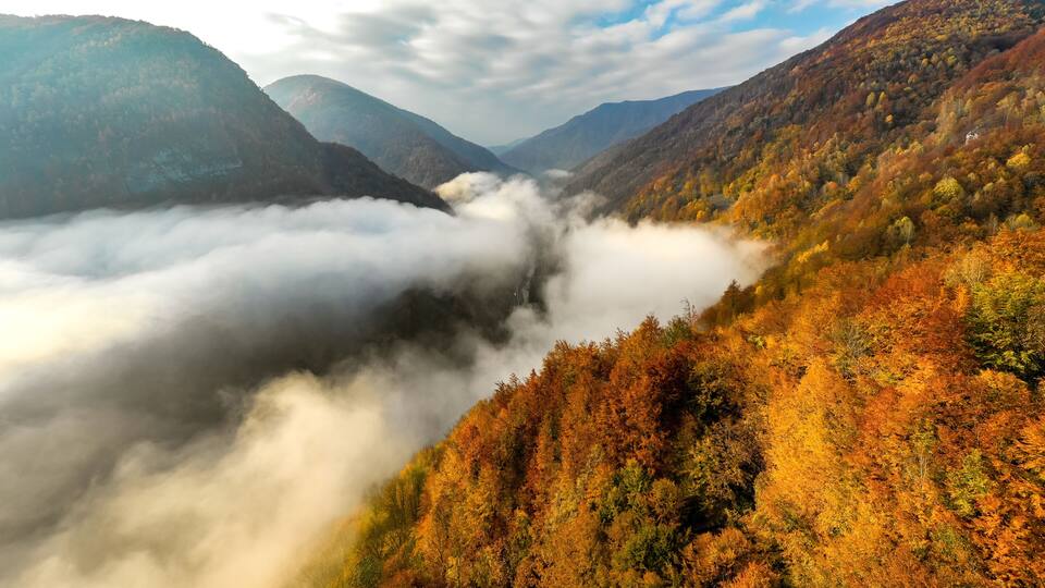 A valley with autumn foliage and a river flowing through it.