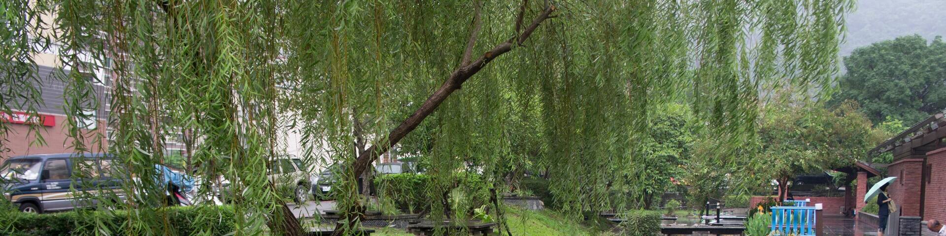 EBC7XK Hot springs at Jiaoxi No.9 Cafe, Taiwan.