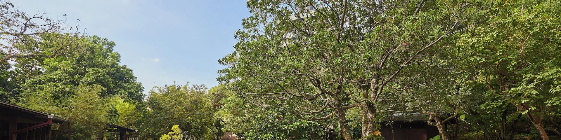 Jiaoxi_JiaosiHotSprings_6178474_9