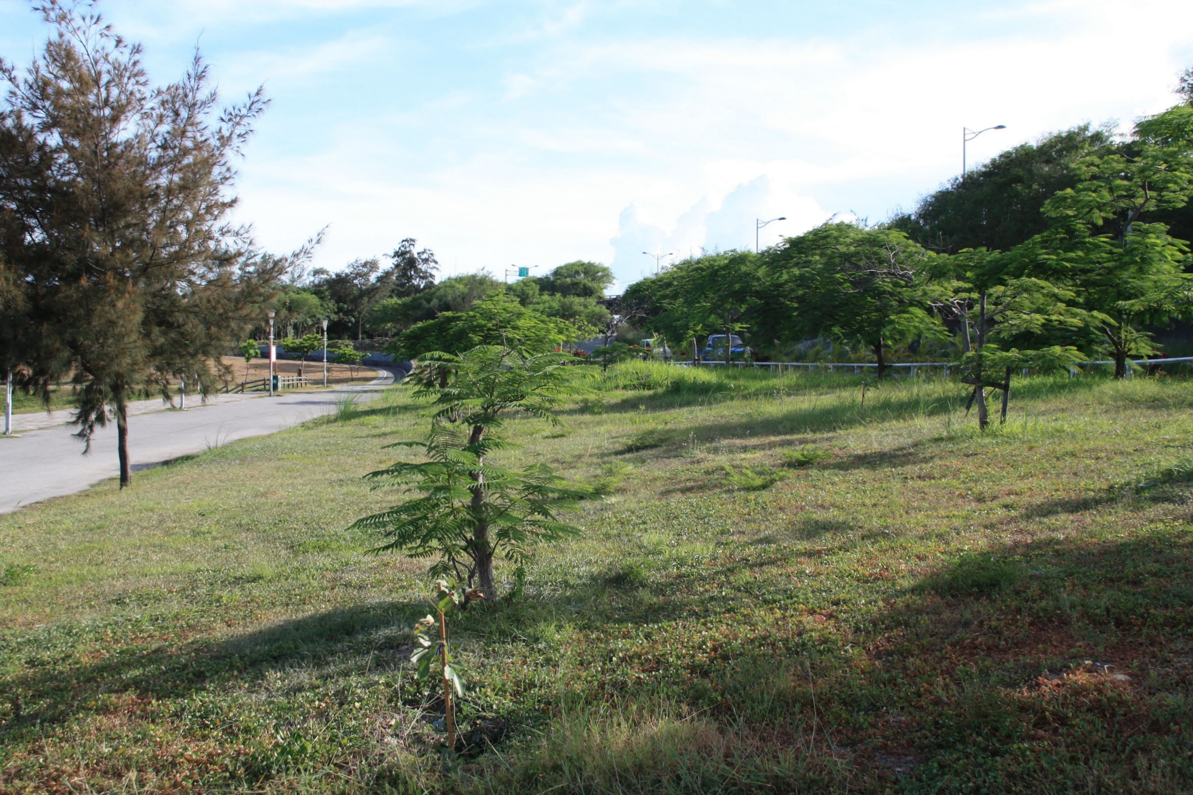 Taitung County Taitung City Artificial lake in Taitung City
