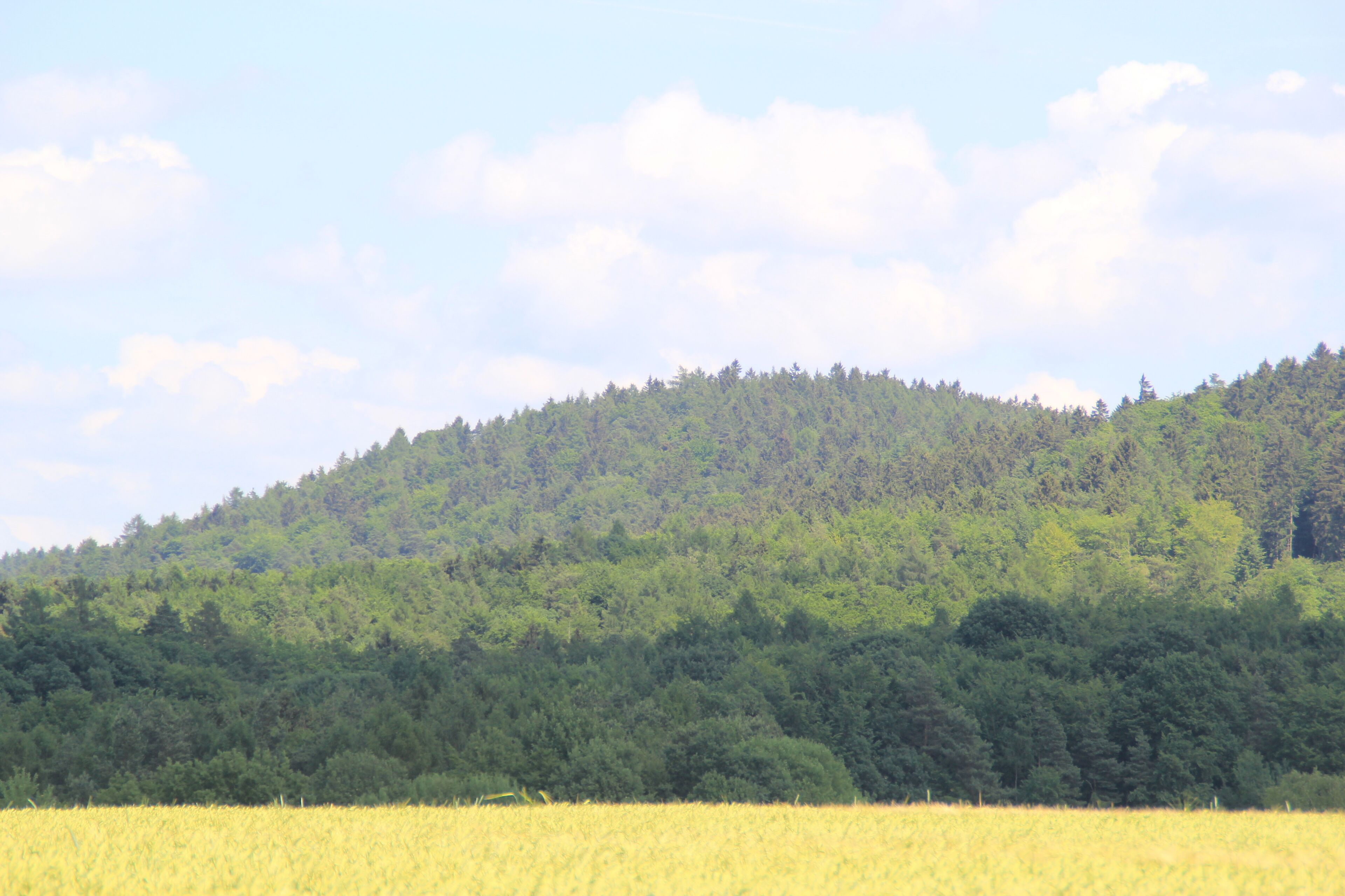 Der Berg Raue Heil von Waldrode aus gesehen
