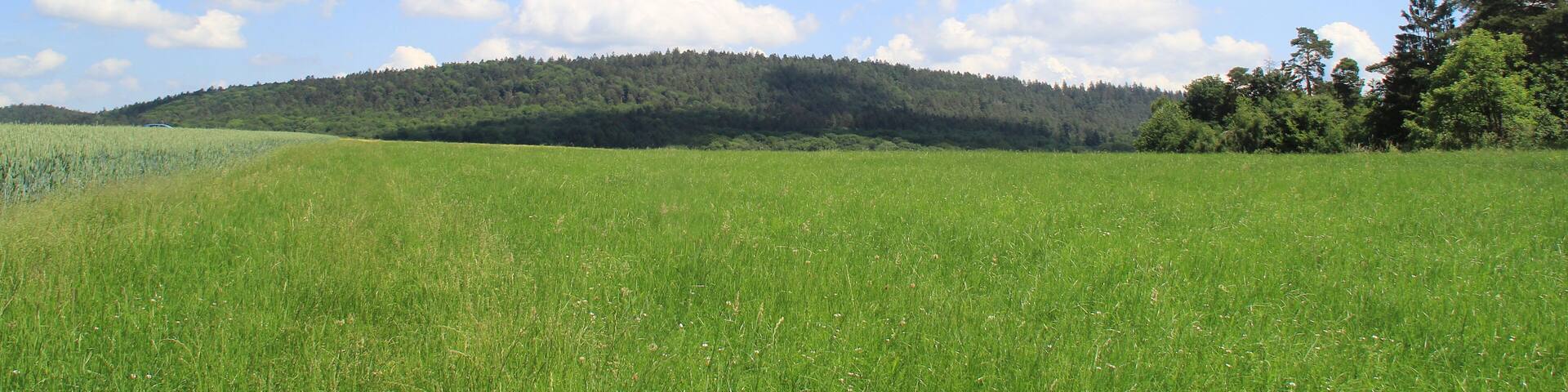 Der Franzosenkopf von Waldrode gesehen