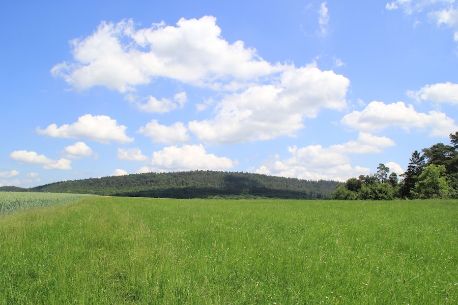 A green field with a forested hill in the background under a blue sky with clouds.