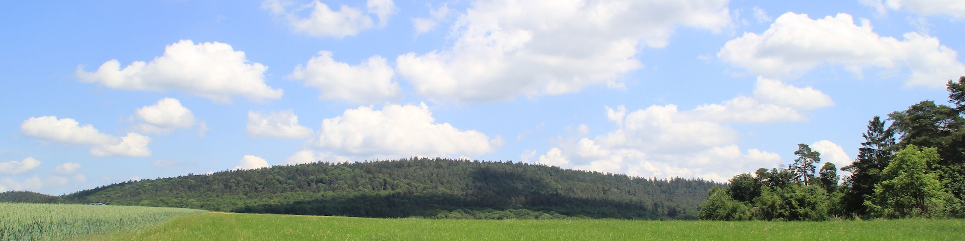 Der Franzosenkopf von Waldrode gesehen
